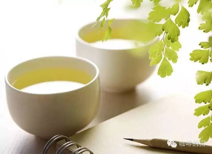 早晨第一杯喝什么，咖啡還是茶？