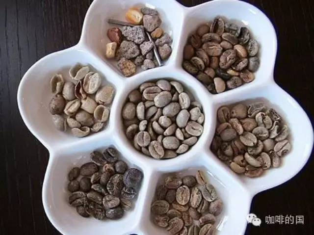 怎樣才能判斷咖啡豆的好壞？
