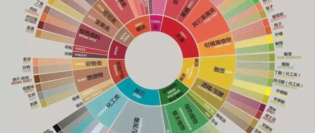 干貨｜為啥那些大咖能喝到幾十種味道，而你只能說，我x!好香