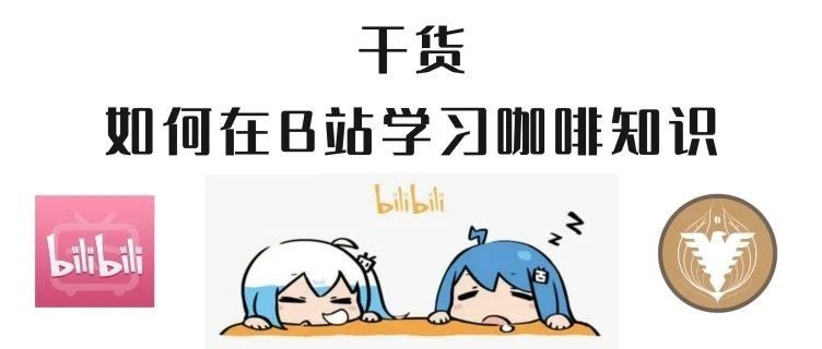 干貨 | 如何在B站學習咖啡知識