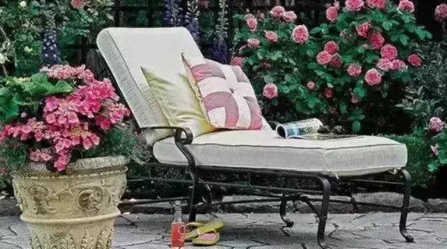 今日立春，宜做春夢