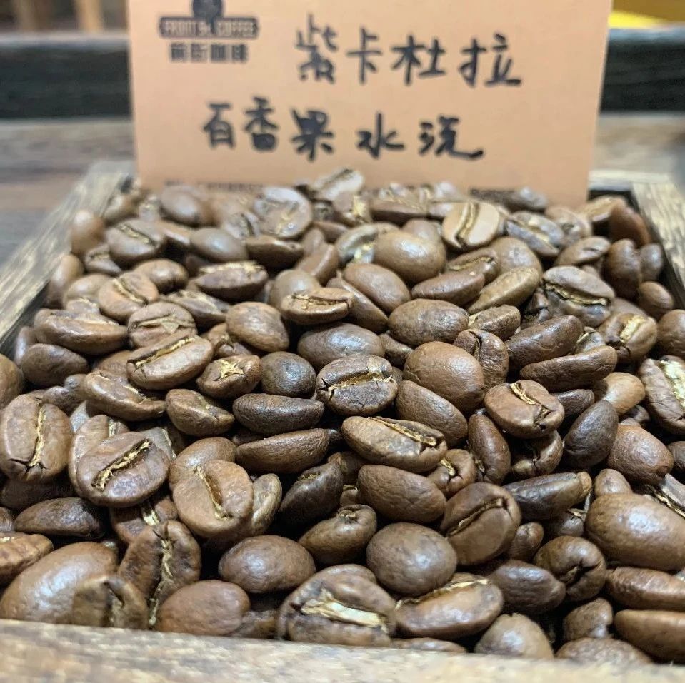 前街咖啡尋豆記 | 哥倫比亞百香果酵母厭氧水洗紫卡杜拉咖啡豆