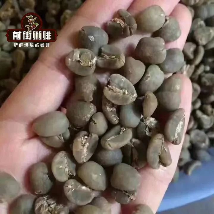 咖啡師養(yǎng)成記 | 印度尼西亞咖啡的品種大全 曼特寧咖啡是什么咖啡品種？