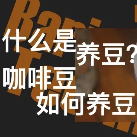 咖啡師養(yǎng)成記 | 什么是養(yǎng)豆？為什么要養(yǎng)豆？咖啡豆應(yīng)該如何養(yǎng)？