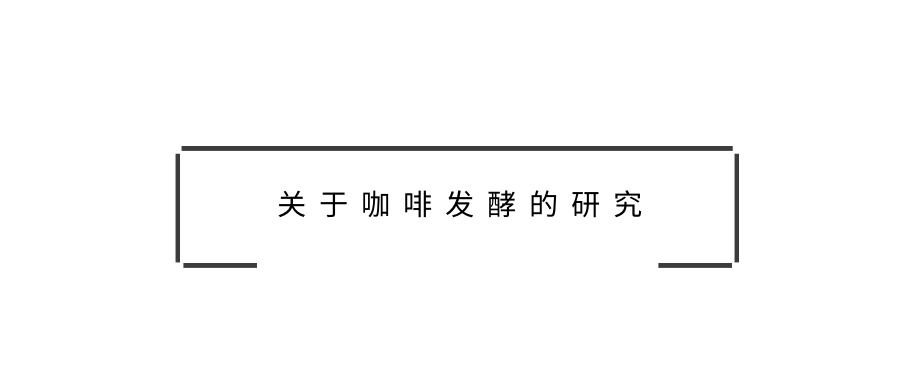 關(guān)于咖啡發(fā)酵的研究，不是太多而是太少