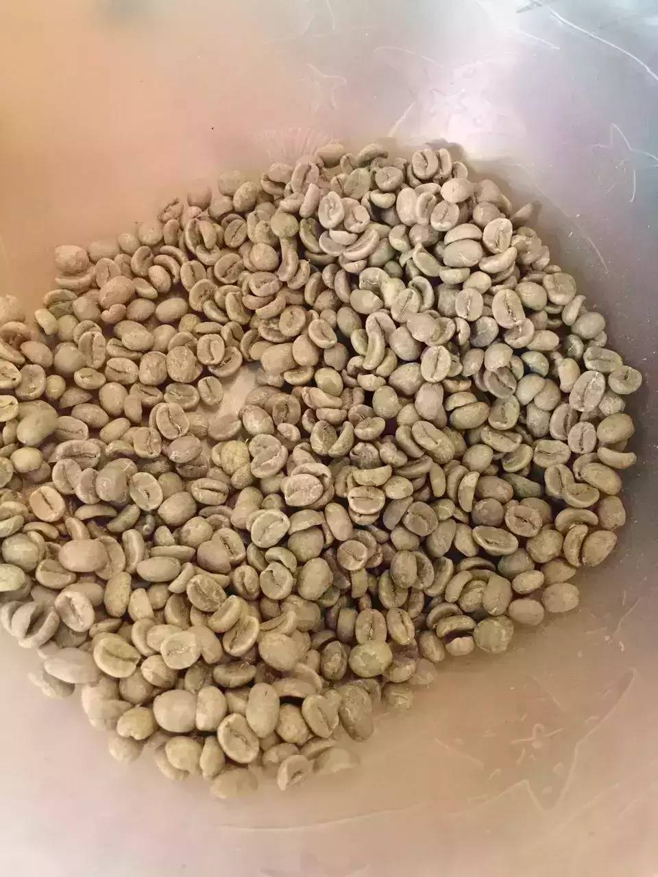 如何挑選瑕疵豆？