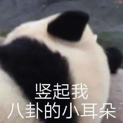 “?能讓你回頭的咖啡館，都有哪些吸引你的地方？”