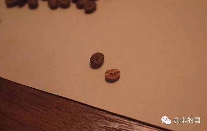 咖啡小白課堂丨咖啡豆你知多少？