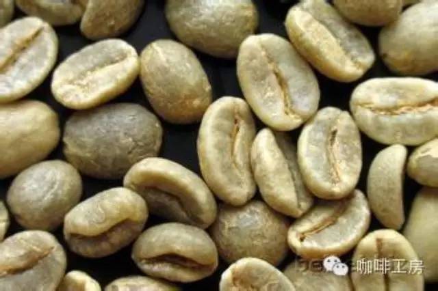 咖啡知識 | 生咖啡豆真的需要清洗嗎？
