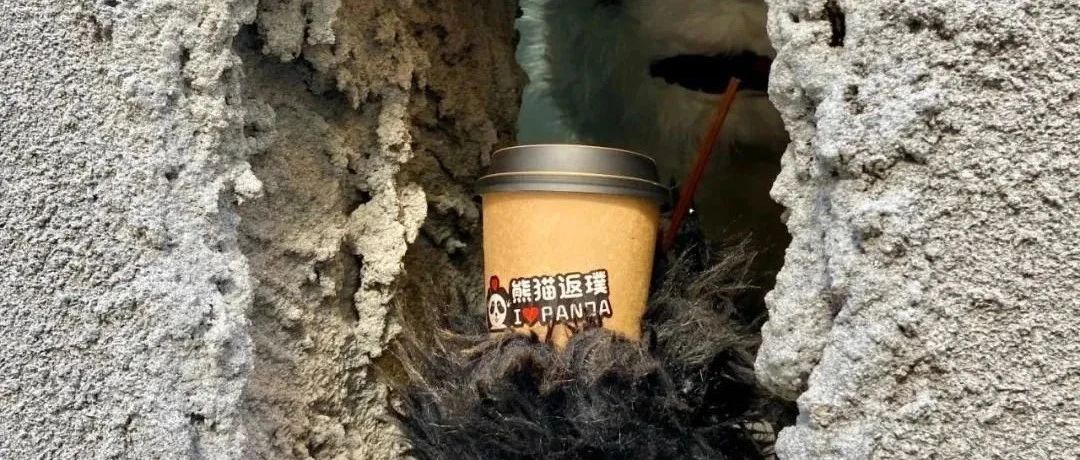 西安也來(lái)了一家同款“熊爪咖啡”館！