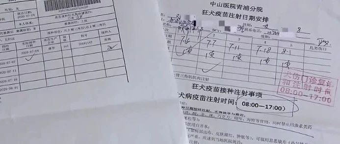歲女童在“貓咖”被抓傷，消費者維權遭店家拒絕