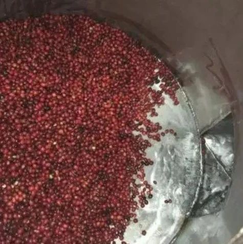 紅酒處理法是用紅酒浸泡嗎？—— 哈特曼莊園紅酒處理法咖啡豆