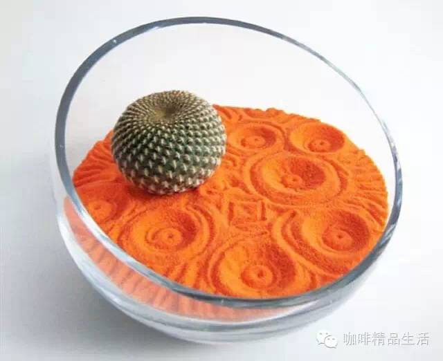 【精品】創(chuàng)意盆栽，用心造境