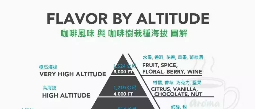 干貨 | 咖啡從采摘到制作的完整歷程！