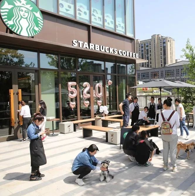 星巴克打造的寵物友好店到底是什么？