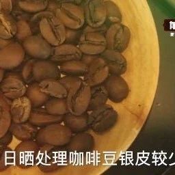 前街咖啡沖煮方案 |日曬處理藍(lán)山咖啡怎么沖？