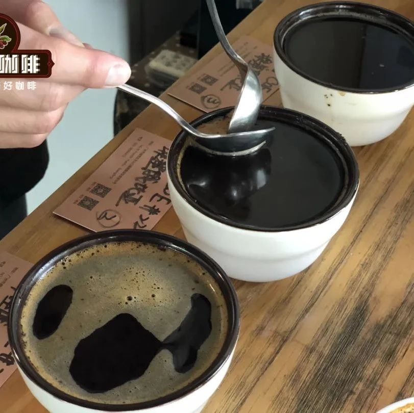 咖啡師養(yǎng)成記 | 杯測的啜吸教學