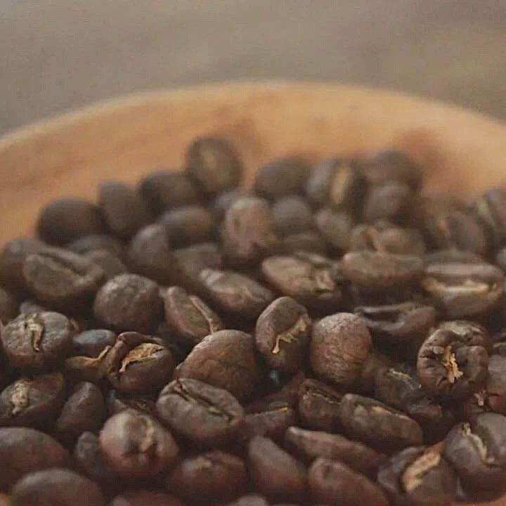 咖啡小知識 | 咖啡豆也分公母？什么是珠粒咖啡？咖啡平豆與園豆的區(qū)別！