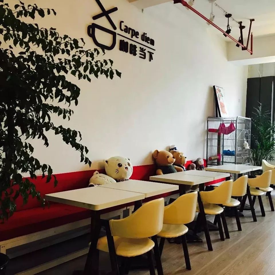 活在當(dāng)下，及時行樂 | 貴陽·粉絲基地NO.  -咖啡當(dāng)下