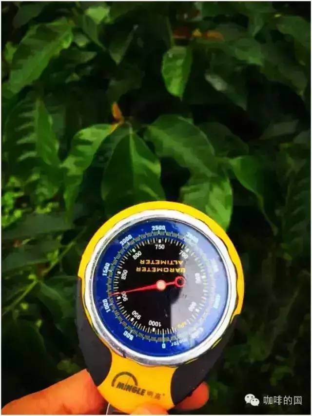 海拔是不是決定豆子主要風(fēng)味的唯一因素？！