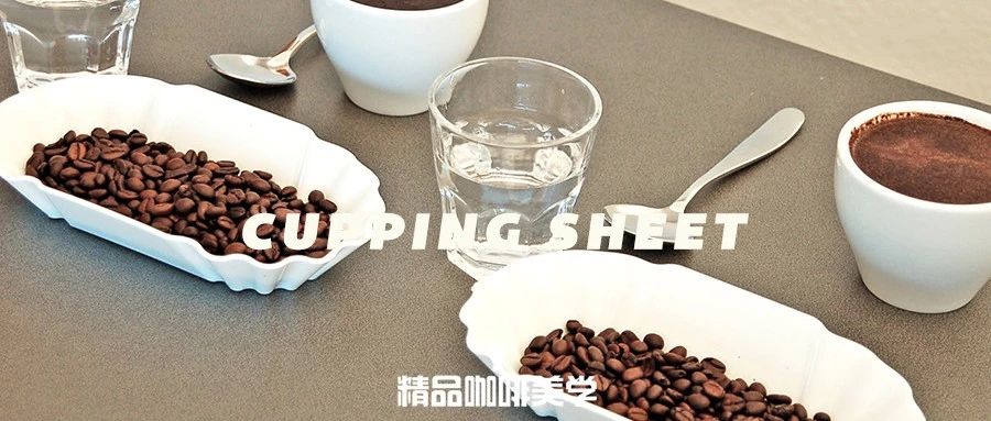 SCA杯測(cè)表太高深？不妨試一下這個(gè)簡(jiǎn)單的入門(mén)杯測(cè)表格