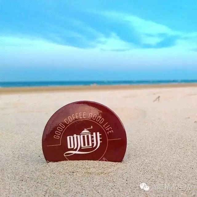 阿啡周末調(diào)皮了，跑去翡翠灣看羊駝，畫面太美不敢獨享……