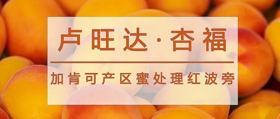 盧旺達(dá)新豆  元秒殺，咖啡控速度入手!