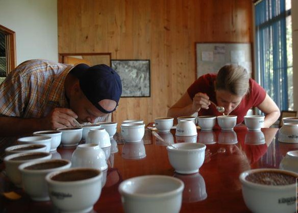 專業(yè)咖啡杯測(cè)術(shù)語