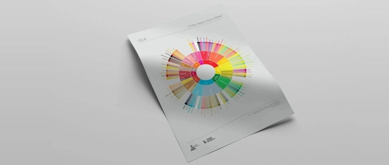 咖啡風(fēng)味輪的革命之路！