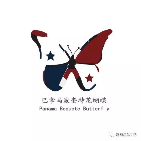 每周好豆推薦 | 我們都在喝花蝴蝶