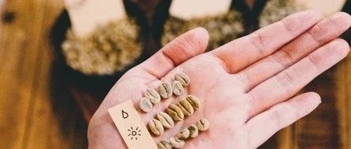 挑選最適合自己的處理法！后處理法對咖啡風(fēng)味的影響