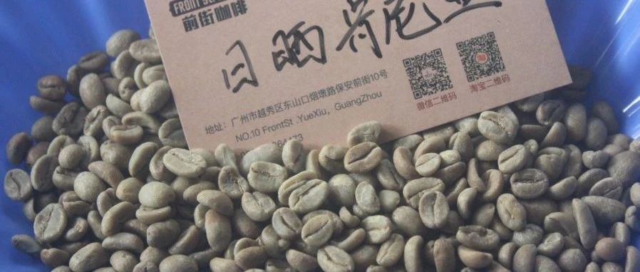 【專題報告】肯尼亞涅里歐薩亞合作社罕見的日曬處理！