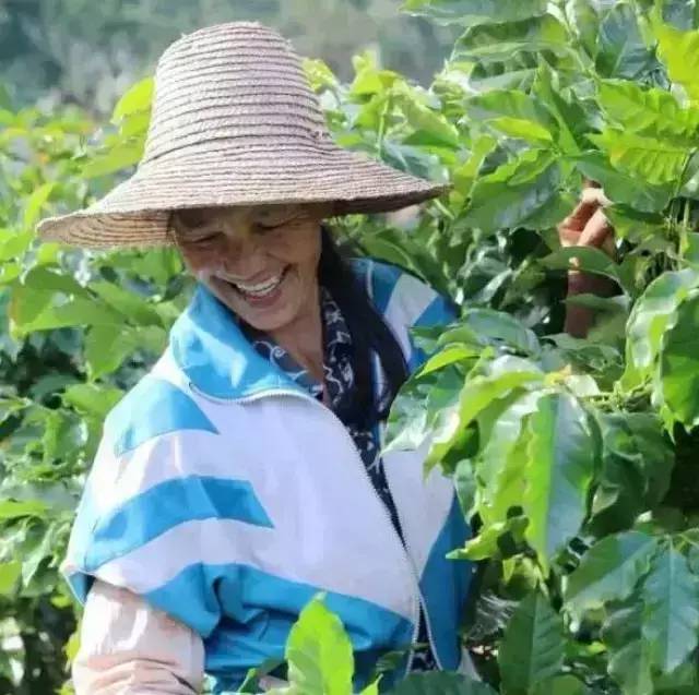 咖農(nóng)面孔：帶你進入真實震撼的啡人世界！