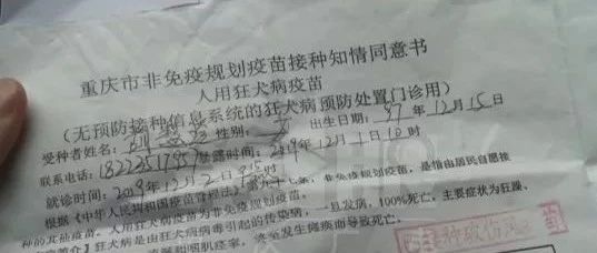 顧客進(jìn)貓咖店消費(fèi)被咬，店家：告我們?。? title=