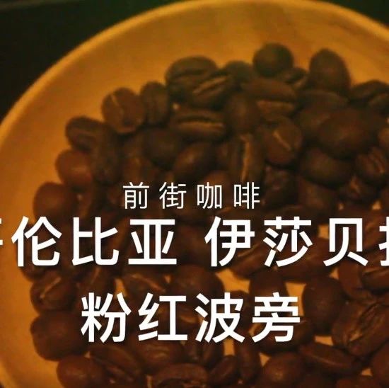 手沖視頻 | 哥倫比亞伊莎貝拉三段式?jīng)_煮方案分享