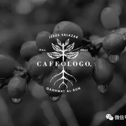 啡|空間 ? Cafeólogo墨西哥咖啡館