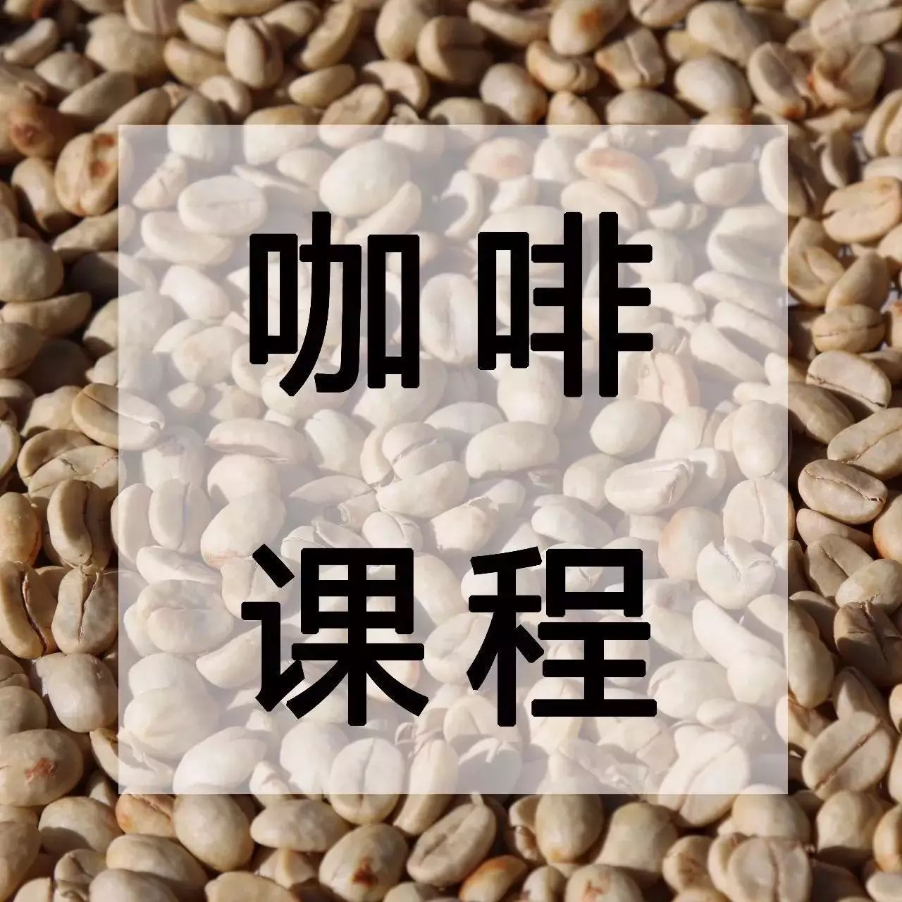 咖啡課堂|Q-Grader月日- 日震撼來襲