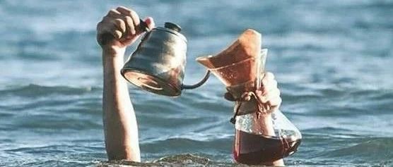 前街年禮！手沖單品豆折扣來了！雪莉兩包 折！！