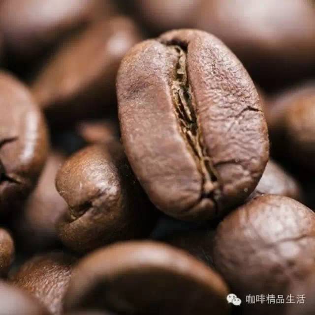 兩張好圖讓你更懂咖啡！