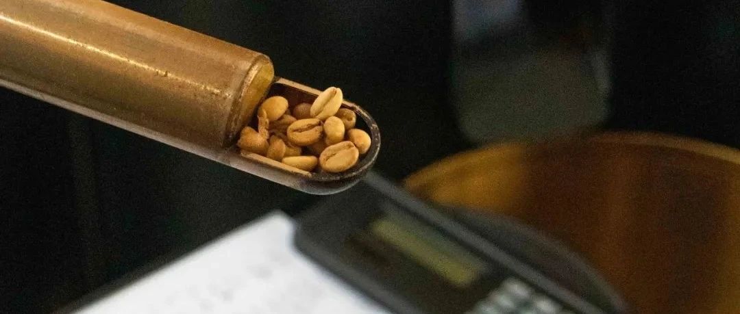 咖啡烘焙如何影響沖煮？