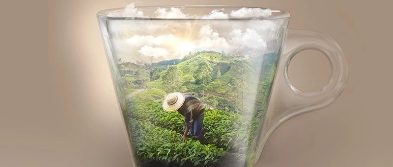 LAVAZZA ！Tierra！拉丁美洲系列新品咖啡豆