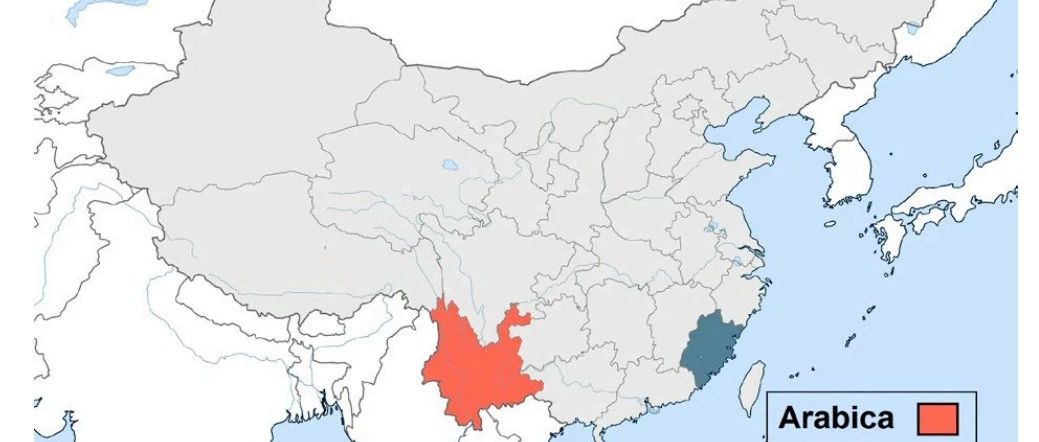 聊一聊埃塞俄比亞咖啡直接貿(mào)易和對云南咖啡發(fā)展的啟示