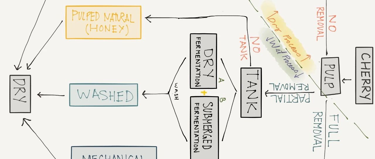 【譯文】越過產(chǎn)地看咖啡風(fēng)味多樣性