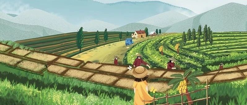 超干貨 |  咖啡年度總結(jié)！