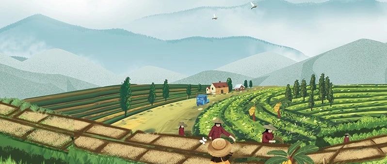 節(jié)日完了，活動又開始了。紅櫻桃 折，口糧豆 .