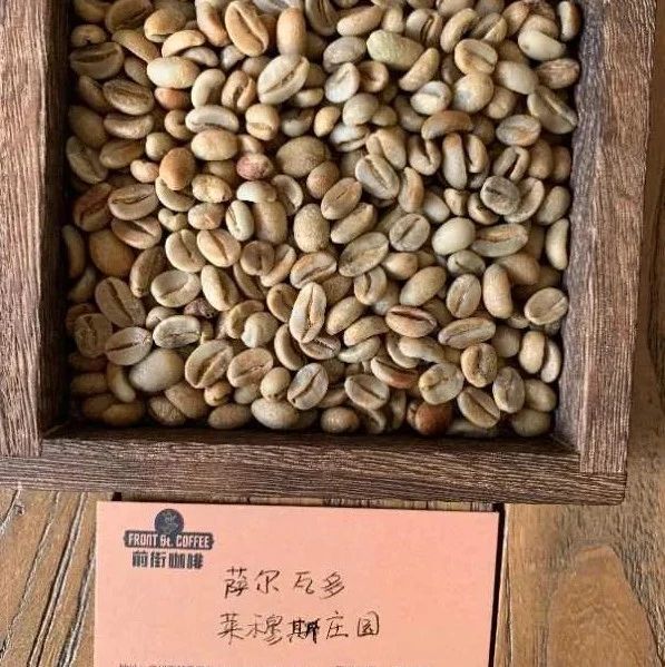 前街咖啡尋豆記 | 薩爾瓦多萊穆斯莊園黑蜜處理波旁卡杜艾