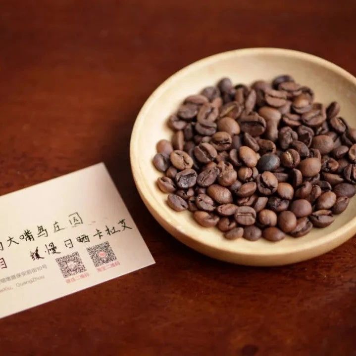 前街咖啡尋豆記 | CCD項目——棕櫚樹與大嘴鳥莊園和巴拿馬的夢幻聯(lián)動
