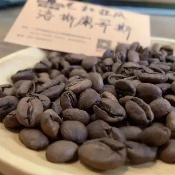 咖啡豆三大品種介紹大全：阿拉比卡、羅布斯塔、利比里卡