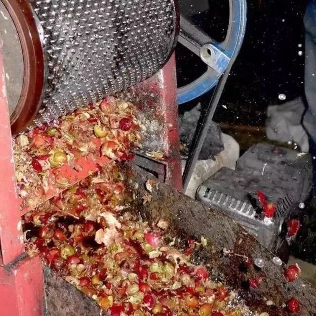 咖啡特殊處理法 |  咖啡濕刨法的霉菌可以帶來好風(fēng)味？！