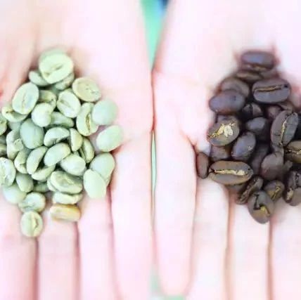 CREMA x Brewista | SCA Roasting 初中級烘焙認證課程